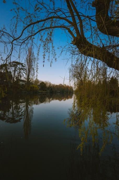 Le Chalet Du Bout Du Monde, En Bord De Riviere ! Grez-sur-Loing Exteriér fotografie